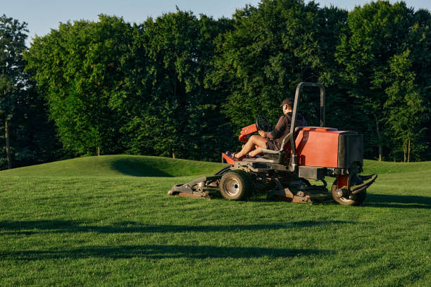 Lawn Care
